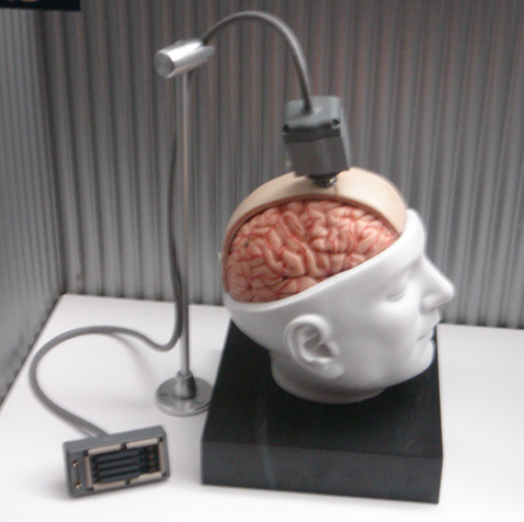Примерно так выглядел миниатюрный комплекс, вживлённый на время эксперимента паралитику Мэттью Нейглу, прославившемуся как первый в мире человек с <a href="http://www.membrana.ru/lenta/?2955">мозговым имплантатом</a>. На снимке к макету головы подключён кабель обратной связи (фото Wikimedia Commons).