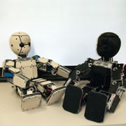 С помощью новых роботов их создатели намерены изучать развитие человека с первых дней жизни (фото Japan Science and Technology Agency).