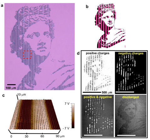 Сложное изображение (портрет Аполлона), напечатанное комбинацией положительных и отрицательных заряженных "наночернил". a – оптическая микрофотография, b – скетч статуи с разметкой полос, c – трёхмерный снимок участка, отмеченного на рисунке a красным со шкалой зарядов, d – снимок сканирующего электронного микроскопа, показывающий распределение заряженных частиц (фото и иллюстрации Jang-Ung Park et al./Nano Letters).