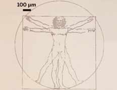 Витрувианский человек (Vitruvian Man), воспроизведённый на миллиметровой картинке с субмикрометровой точностью – пример филигранной техники исполнения нового типа принтера (фото Jang-Ung Park et al./Nano Letters).